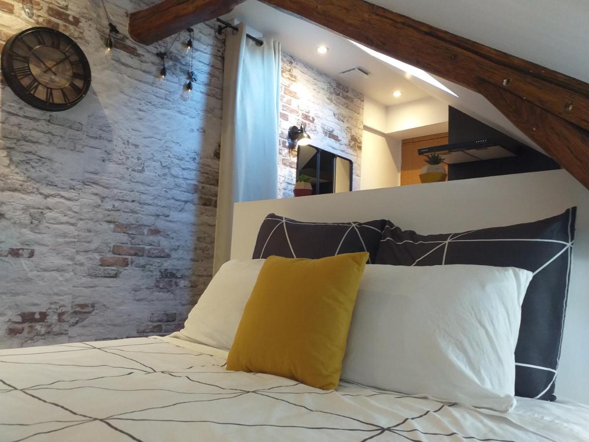 Les Volets Bleus - Deux Appartements Et Un Studio, Jardin Bourges Exterior foto